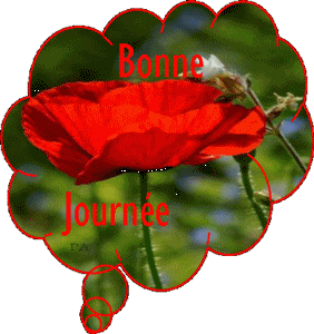 Gif animé bonne journée coquelicot